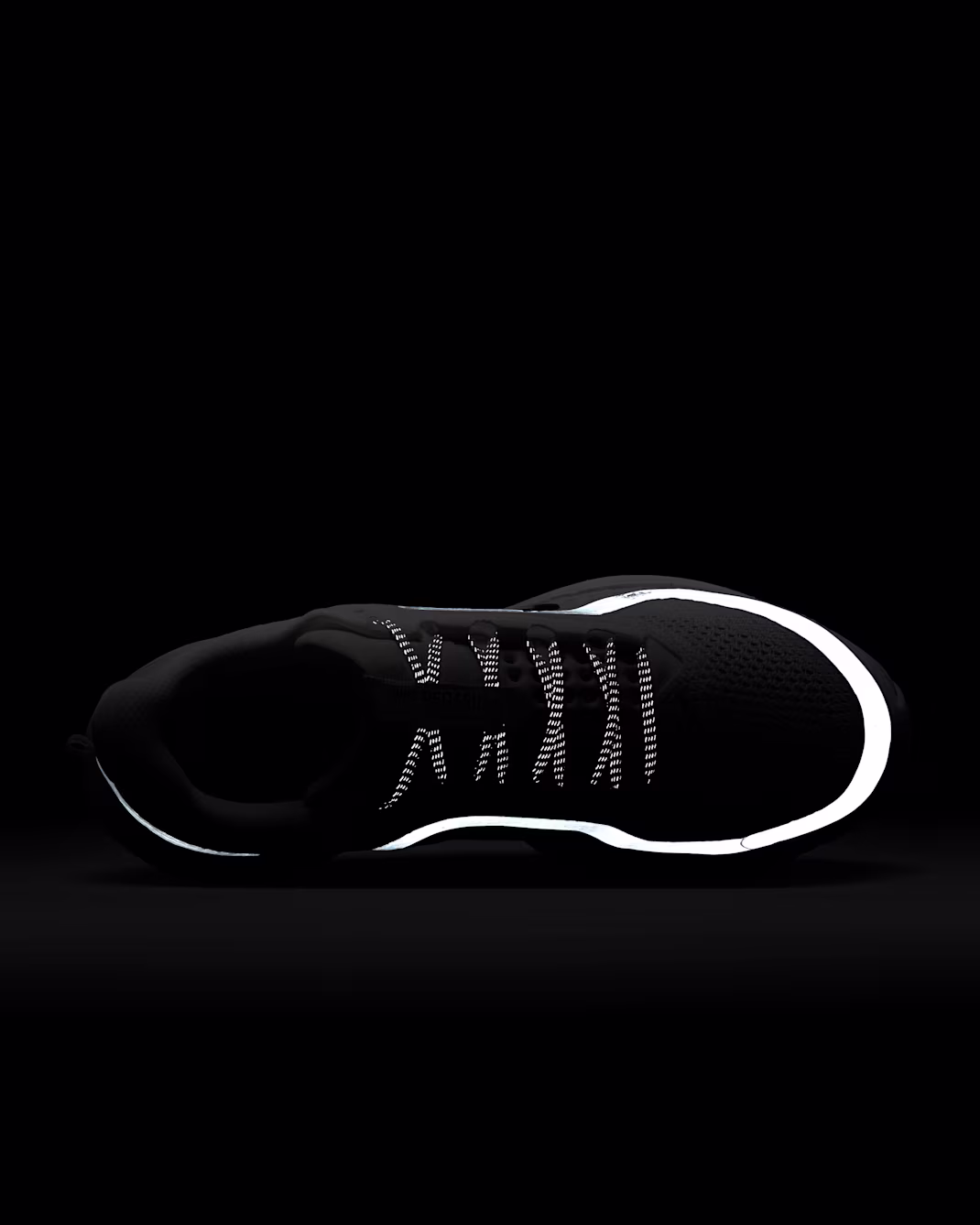 W+NIKE+PEGASUS+PREMIUM (6)