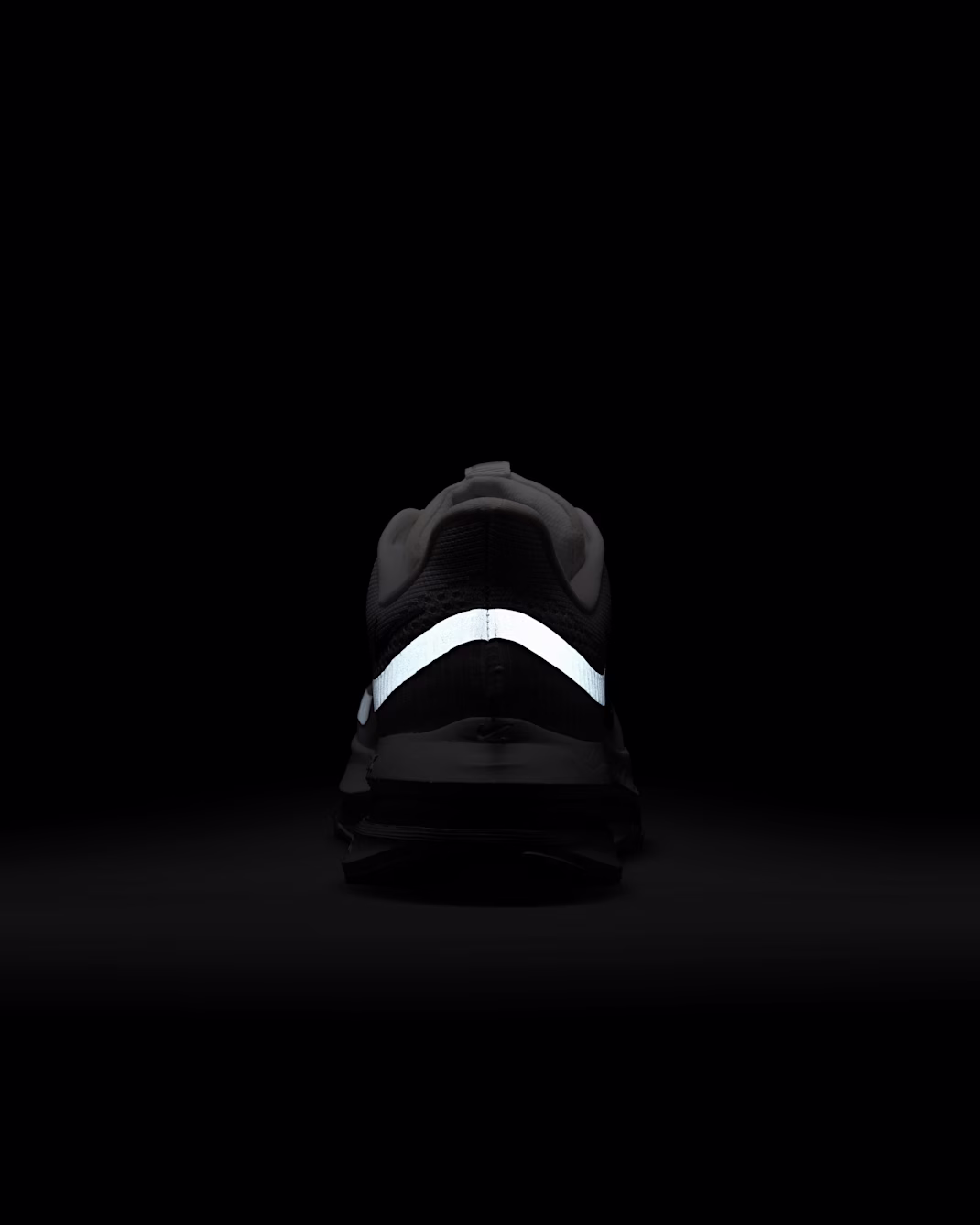 W+NIKE+PEGASUS+PREMIUM (7)