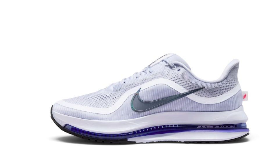Nlke Pegasus Premium